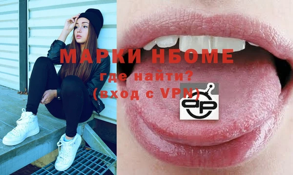 шишки Абаза