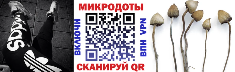 Псилоцибиновые грибы ЛСД  Копейск 