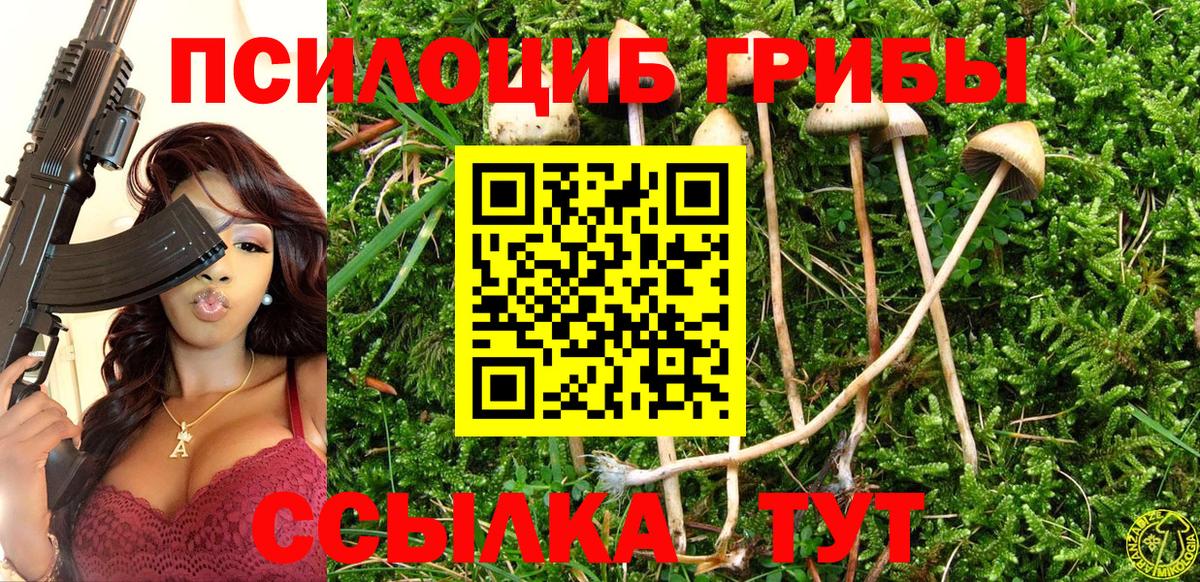 Псилоцибиновые грибы прущие грибы Копейск