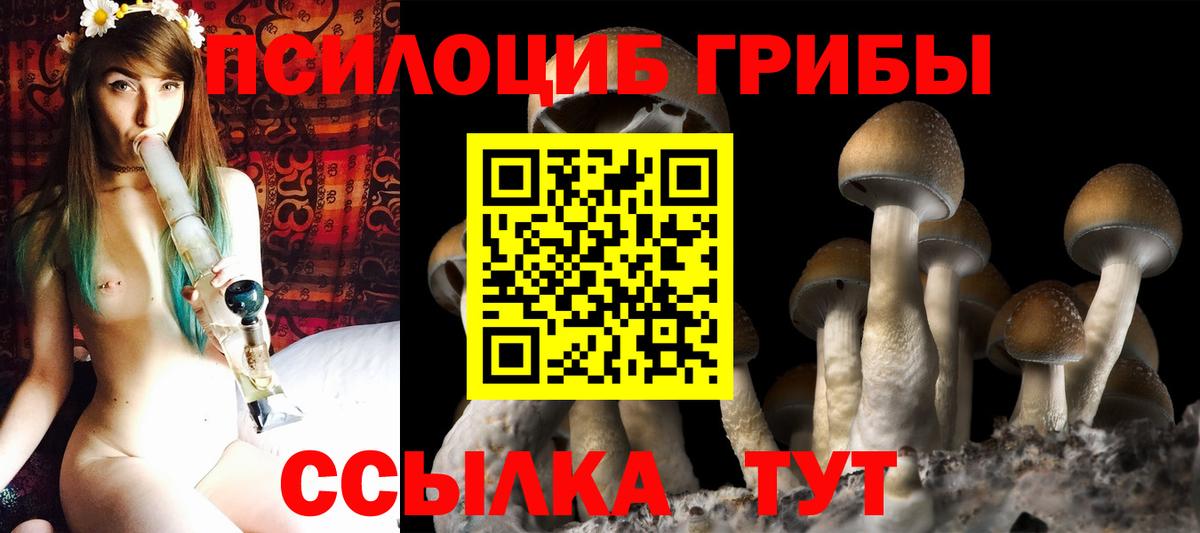 Галлюциногенные грибы Magic Shrooms  Вход с VPN  Копейск 